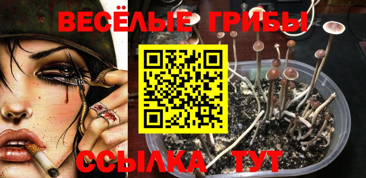 Псилоцибиновые грибы мицелий  Вход с VPN  Петропавловск-Камчатский 